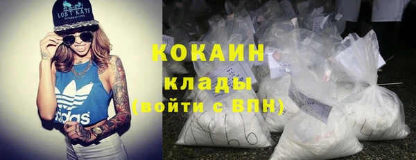 гашик Зеленокумск