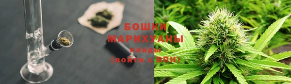 гашик Зеленокумск
