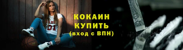 гашик Зеленокумск
