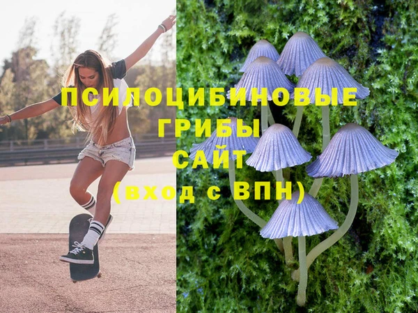синтетический гашиш Зерноград