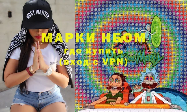 гашик Зеленокумск