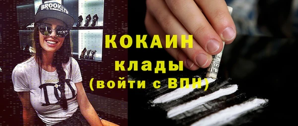 гашик Зеленокумск