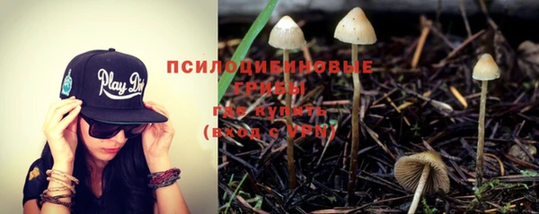 ПСИЛОЦИБИНОВЫЕ ГРИБЫ Зеленодольск