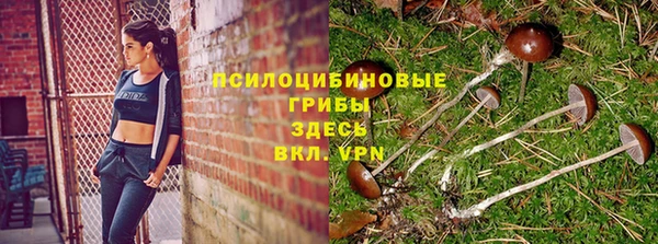 ПСИЛОЦИБИНОВЫЕ ГРИБЫ Зеленодольск