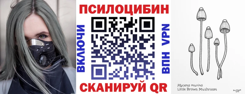закладки  Салехард  Галлюциногенные грибы ЛСД 